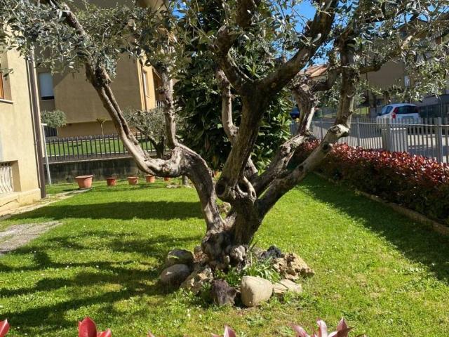 Appartamento in vendita a San Leo Bastia, Umbria