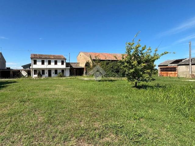 Appartamento in vendita a Codevigo, Veneto
