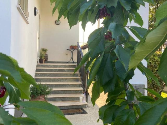 Villa Indipendente in vendita a Collecchio, Reggio Emilia