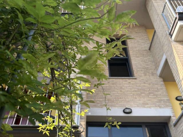 Appartamento in vendita a Colorno, Reggio Emilia