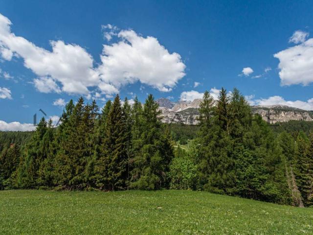 Appartamento in vendita a Cortina D'ampezzo, Veneto