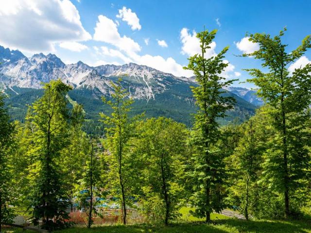 Appartamento in vendita a Cortina D'ampezzo, Veneto