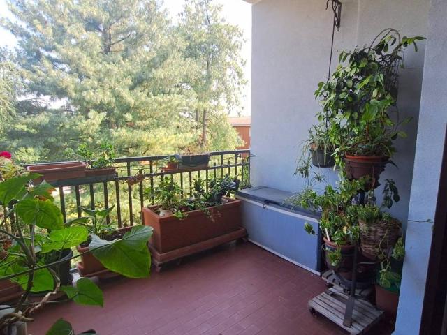 Appartamento in vendita a Crema, Lombardia