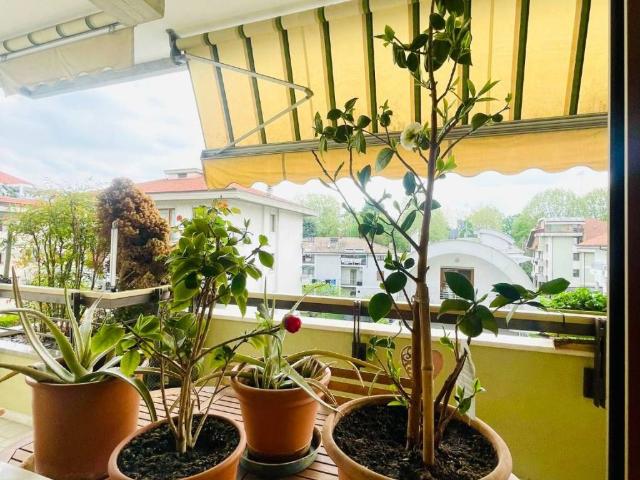 Appartamento in vendita a Cuneo Nuova, Piemonte
