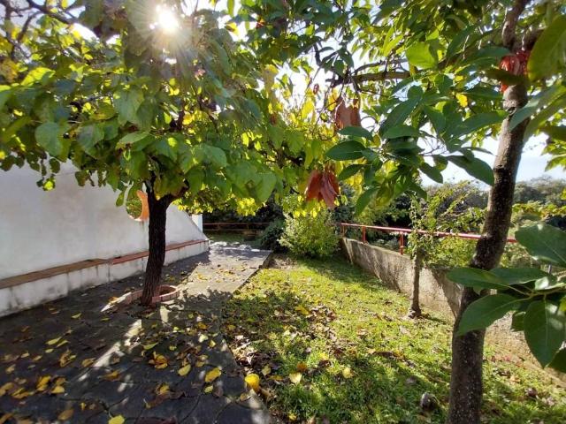 Appartamento in vendita a Calabria, Cosenza