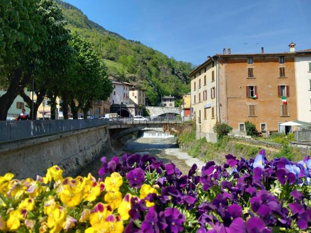 Appartamento in vendita a Comunità montana della valle Camonica, Edolo
