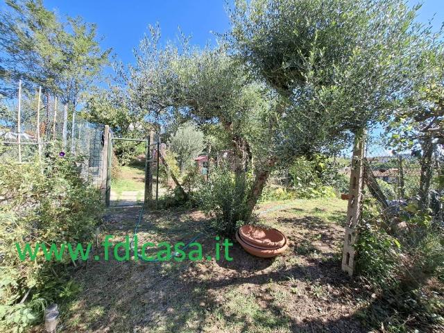 Appartamento in vendita a Brusciana, Empoli