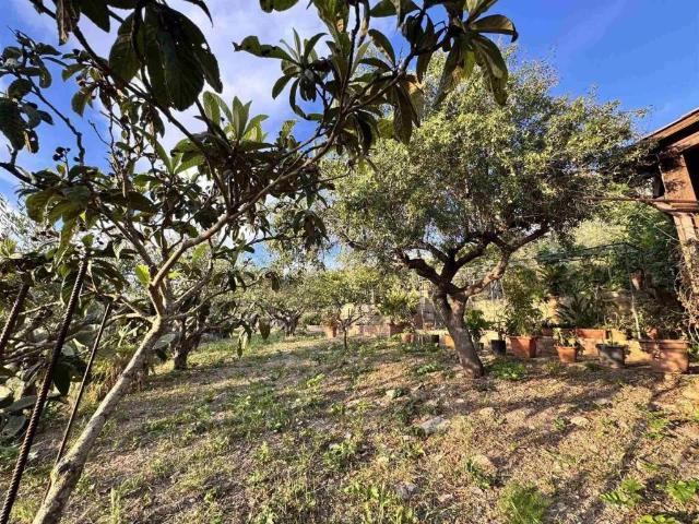 Appartamento in vendita a Erice, Sicilia