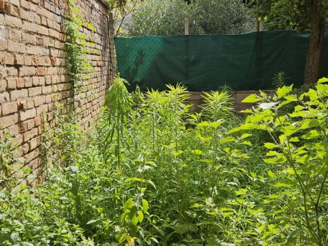 Appartamento in vendita a Este, Veneto