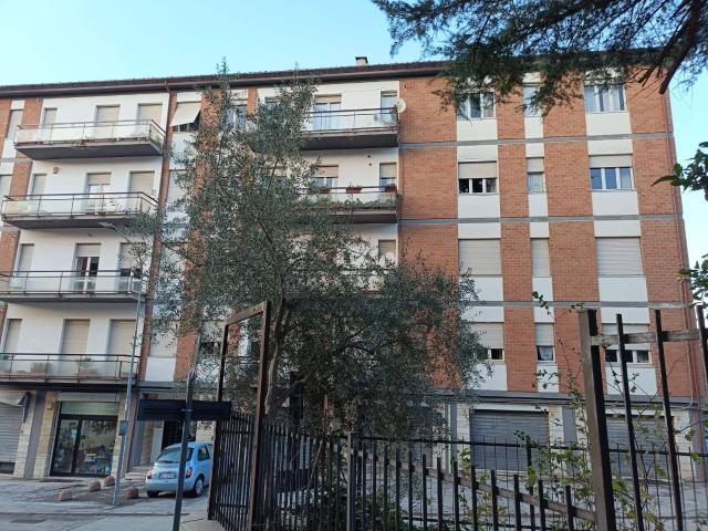 Appartamento in vendita a Spina, Marche