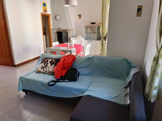 Appartamento in vendita a Marche, Ancona