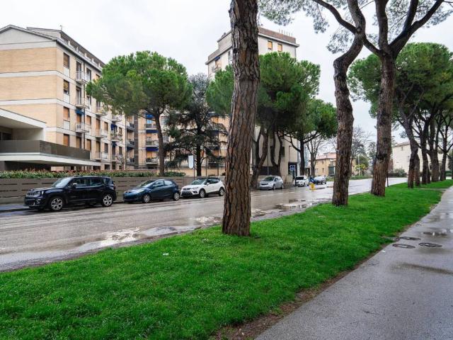 Appartamento in vendita a Quartiere Centro Nord, Faenza