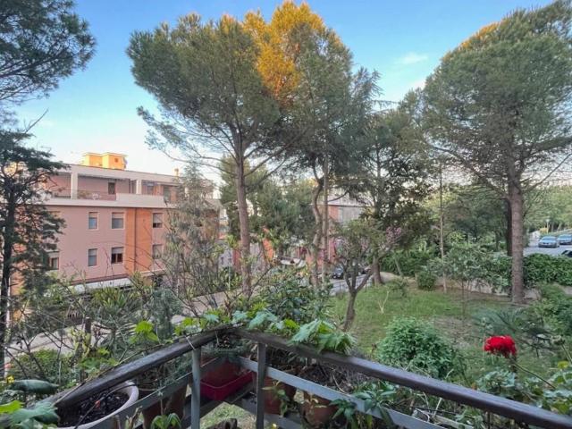 Appartamento in vendita a Marche, Ancona