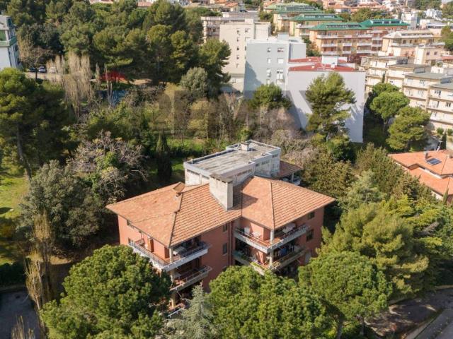 Appartamento in vendita a Marche, Ancona