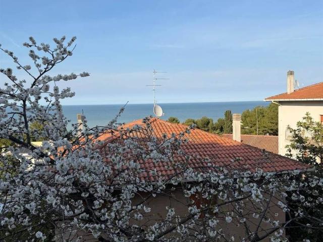 Appartamento in vendita a Marche, Ancona