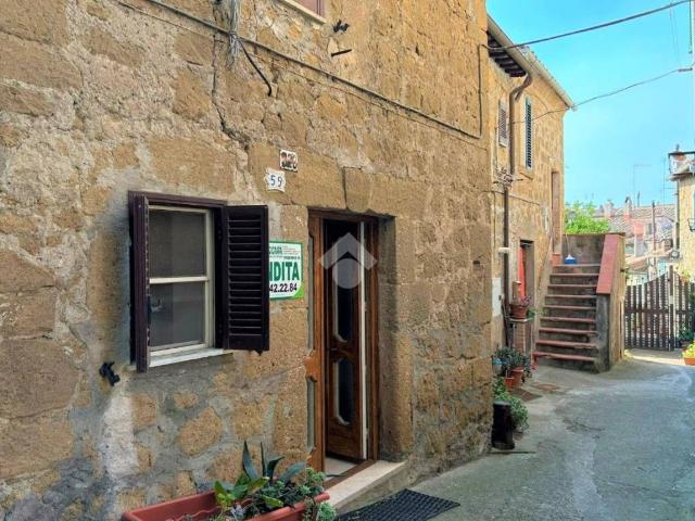 Appartamento in vendita a Farnese, Lazio