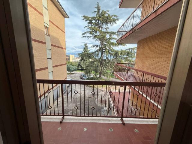 Appartamento in vendita a Santa Petronilla, Marche