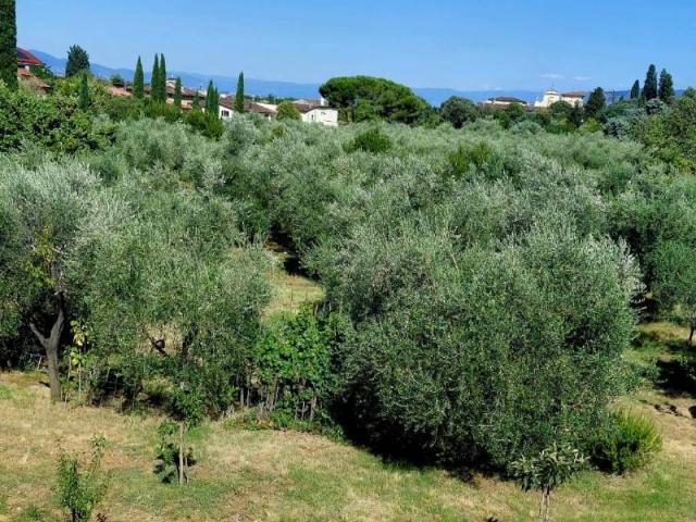 Appartamento in vendita a Quarto, Firenze