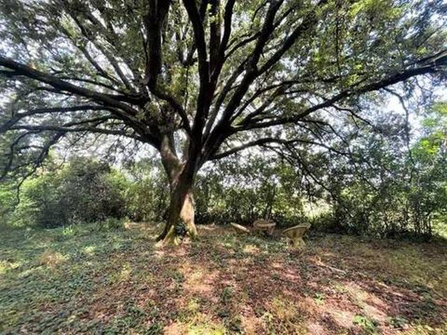 Appartamento in vendita a Santa Luce, Foiano Della Chiana