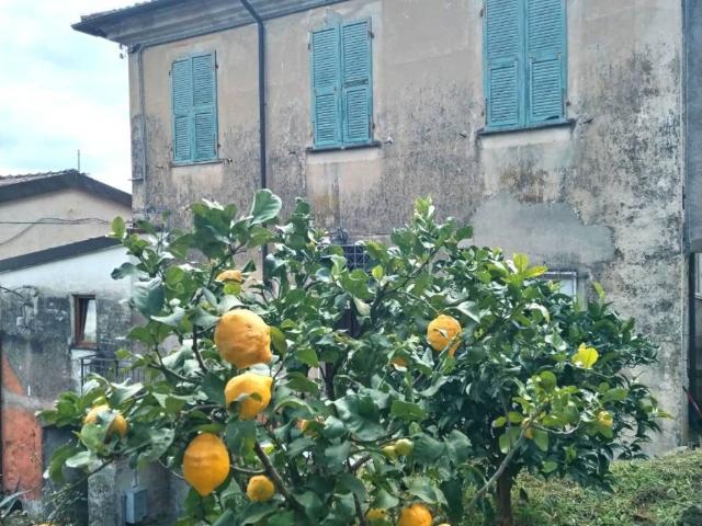 Appartamento in vendita a Follo, Liguria