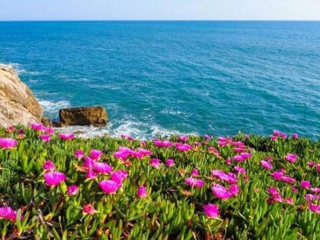 Appartamento in vendita a Follonica, Toscana