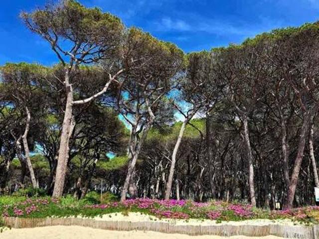 Appartamento in vendita a Follonica, Toscana