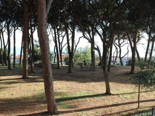Appartamento in vendita a Follonica, Toscana