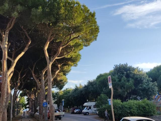 Appartamento in vendita a Follonica, Toscana
