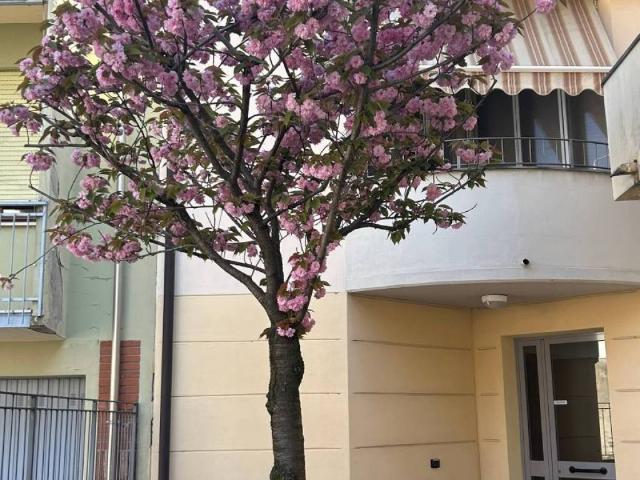 Appartamento in vendita a Fontevivo, Reggio Emilia