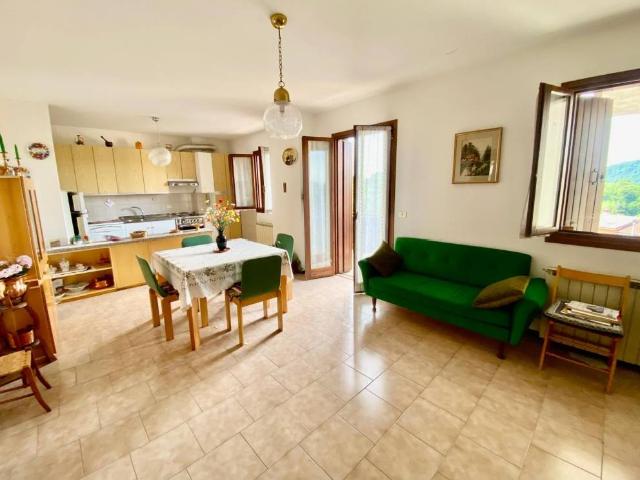 Appartamento in vendita a Forgaria Nel Friuli, Friuli-Venezia Giulia