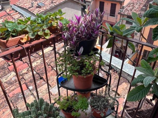 Appartamento in vendita a San Pietro, Forlì