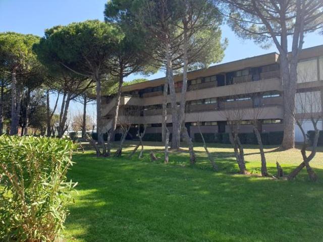 Appartamento in vendita a Bibbona, Toscana