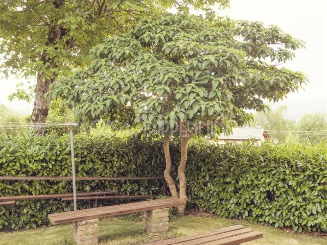 Appartamento in vendita a Unione dei comuni del Distretto Ceramico, Frassinoro