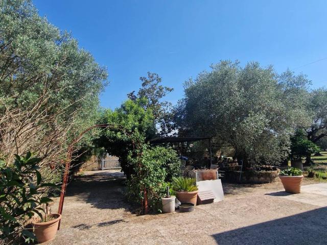 Appartamento in vendita a Gallese, Lazio