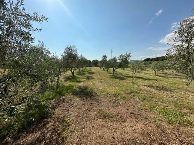 Appartamento in vendita a Bivio Di Ravi, Toscana