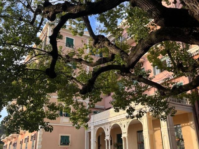 Appartamento in vendita a Levante, Serra Riccò