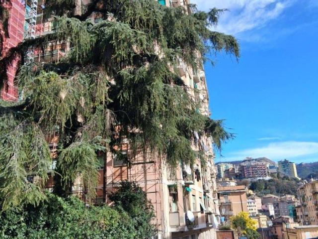 Appartamento in vendita a Bassa Val Bisagno, Serra Riccò