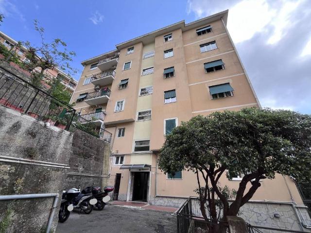 Appartamento in vendita a Centro Est, Serra Riccò