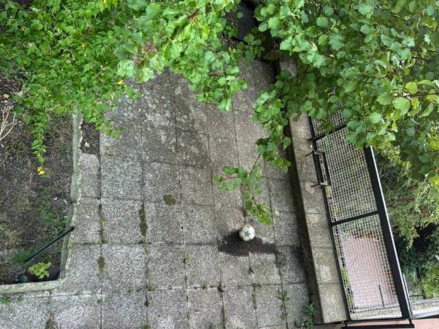 Appartamento in vendita a Bassa Val Bisagno, Serra Riccò