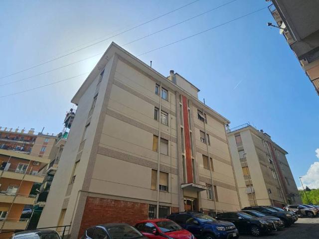 Appartamento in vendita a Centro Ovest, Serra Riccò
