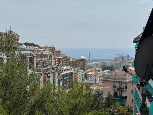 Appartamento in vendita a Centro Est, Serra Riccò