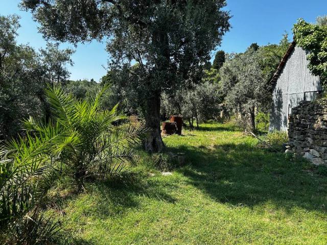 Appartamento in vendita a Levante, Serra Riccò