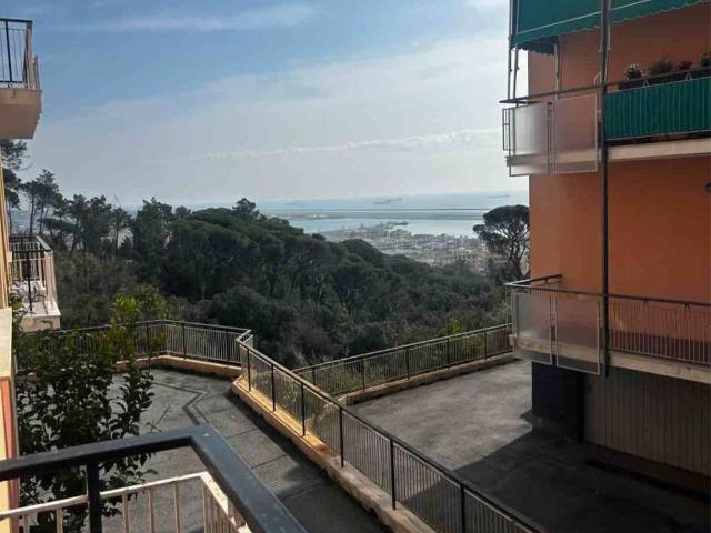 Appartamento in vendita a Ponente, Serra Riccò