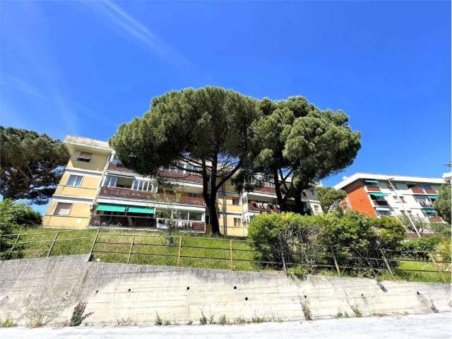 Appartamento in vendita a Centro Ovest, Serra Riccò