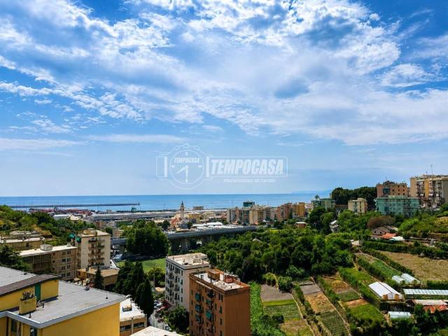 Appartamento in vendita a Ponente, Serra Riccò