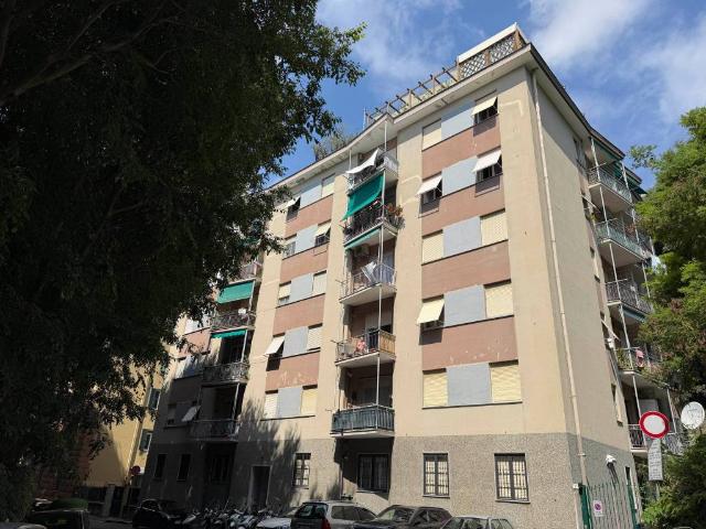 Appartamento in vendita a Centro Est, Serra Riccò