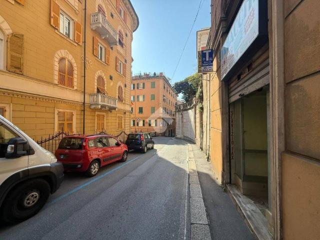 Appartamento in vendita a Centro Est, Serra Riccò