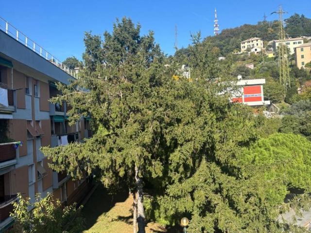 Appartamento in vendita a Centro Ovest, Serra Riccò