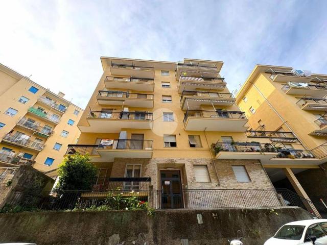 Appartamento in vendita a Ponente, Serra Riccò