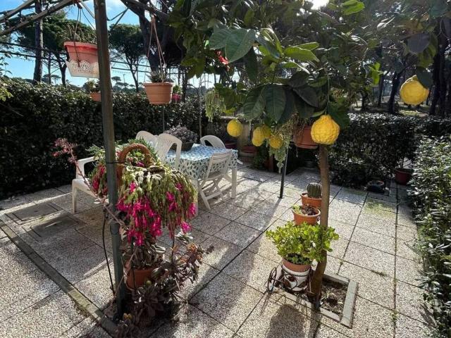 Appartamento in vendita a Sciangai, Monte Argentario